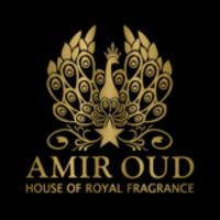 Amir Oud