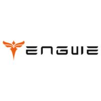 Engwe Bikes DE
