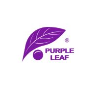 Purple Leaf