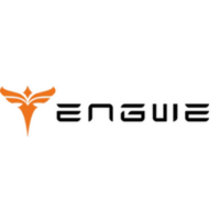 Engwe EU
